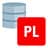 PL/SQL 